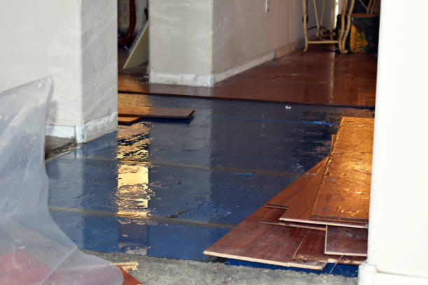 Professional Water Damage Restoration technician working in Randolph, ME